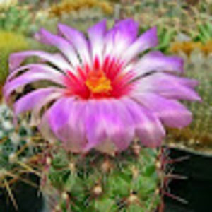 Meet your Posher, Jaime